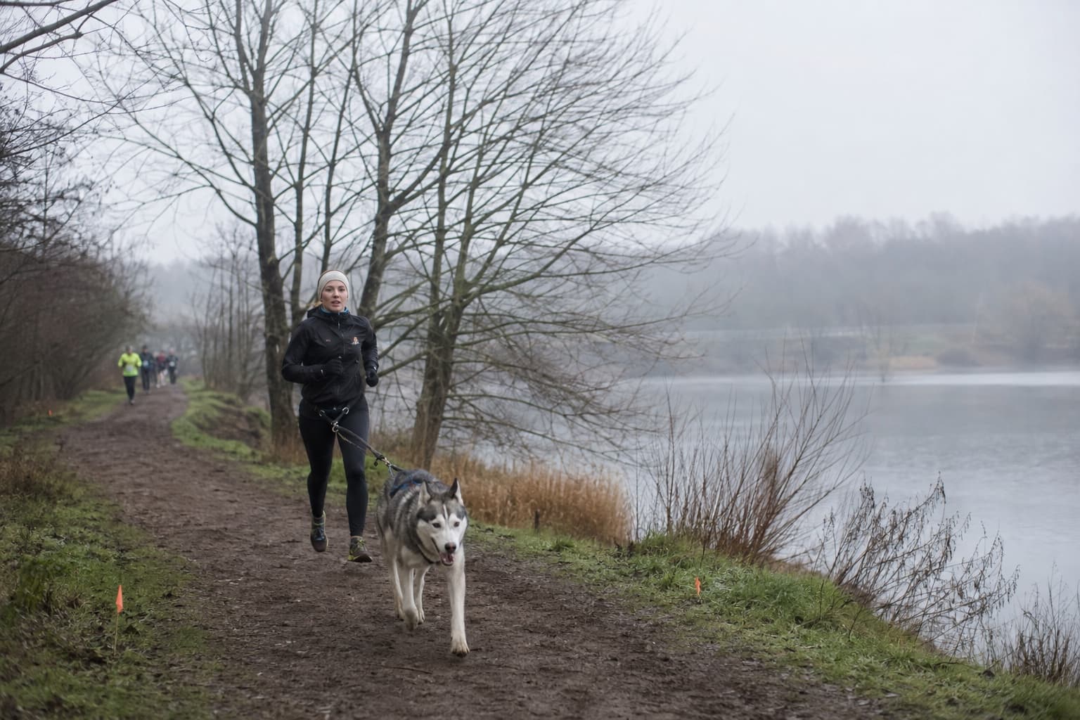 Coureuse et chien en harnais de traction sur un chemin d'hiver au bord d'un plan d'eau