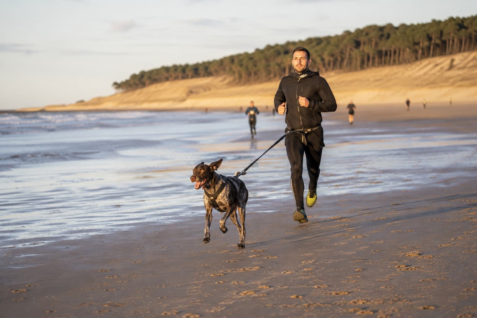 Coureur et chien en harnais de traction sur une plage de Vendée en hiver