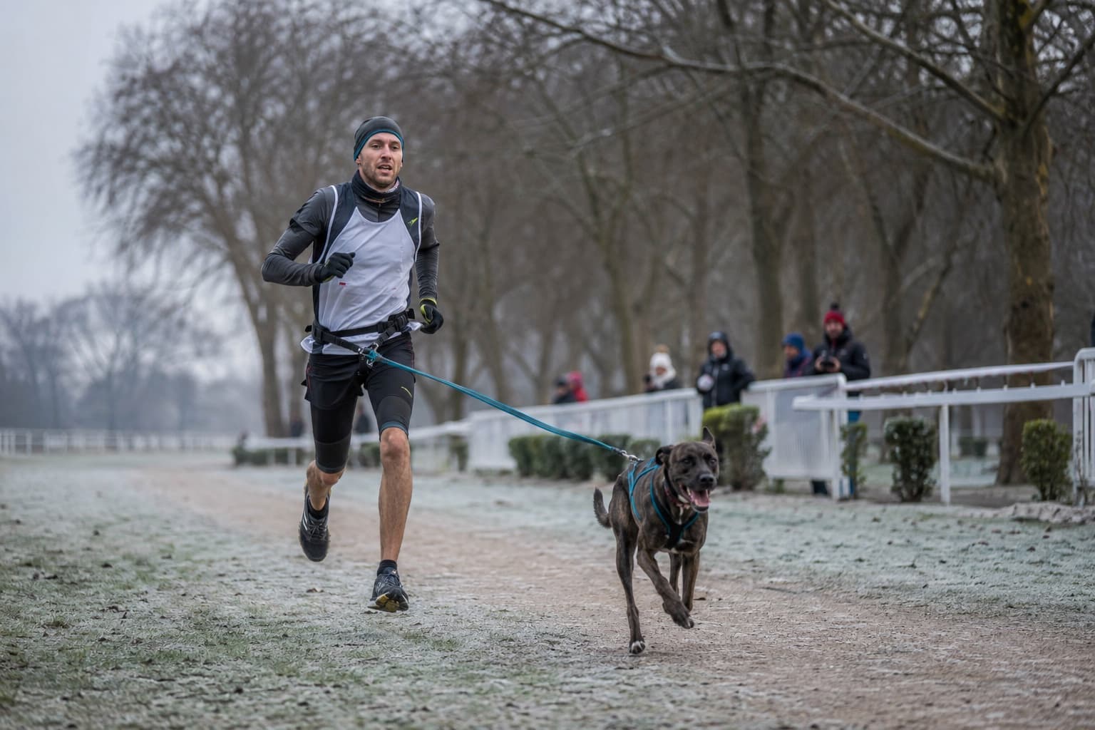 Coureur et chien en harnais de traction sur une piste givrée près d'un hippodrome