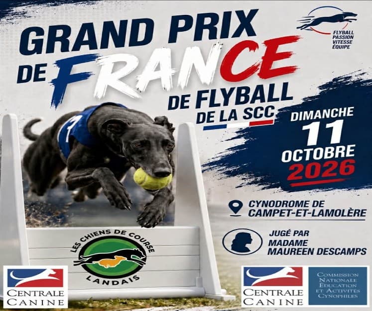 Affiche du Grand Prix de France de Flyball 2026 montrant un chien franchissant une haie avec une balle, avec la date et le lieu de la compétition