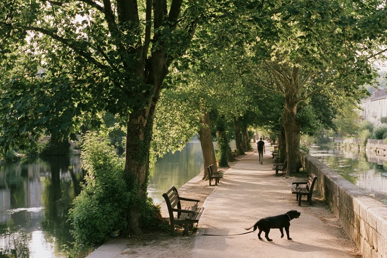 Un chien noir traverse une promenade ombragée bordée de bancs au bord de l’eau, avec un passant au loin.